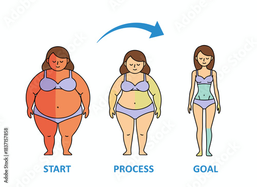Illustration of a woman in lingerie, depicted in flat cartoon vector style on a white background, showing the stages of her transformation from a fat, obese belly to a slim, thin figure, illustrating