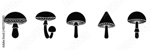 Vector silhouette of black and white illustration of five different stylized mushroom silhouettes