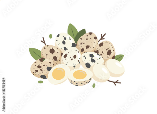 A cluster of quail eggs with speckled shells, tiny food items featuring spotted shells, fresh raw and boiled for consumption, offering organic nutrition as an ingredient, depicted in a flat vector
