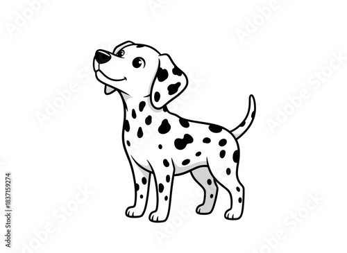 A Dalmatian dog, a cute bicolored pup with black spots on its coat, purebred, depicted as a spotty pet looking upward in a flat vector illustration on a white background