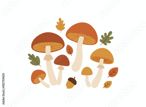 Autumn mushrooms and fall forest fungi, featuring a seasonal array of gilled caps and stems, serve as a natural, edible, organic, healthy snack ingredient, depicted in a flat vector illustration set