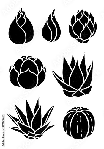 Monochrome collection of stylized succulent plants, seven distressed botanical silhouettes including agave, aloe, and round cactus shapes