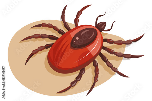 High-quality illustration of a tick insect with realistic detail and color. This vector graphic shows the tick’s body structure, legs, and texture, perfect for educational, scientific, and medical pur