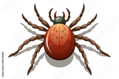 High-quality illustration of a tick insect with realistic detail and color. This vector graphic shows the tick’s body structure, legs, and texture, perfect for educational, scientific, and medical pur