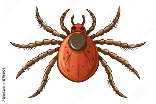 High-quality illustration of a tick insect with realistic detail and color. This vector graphic shows the tick’s body structure, legs, and texture, perfect for educational, scientific, and medical pur