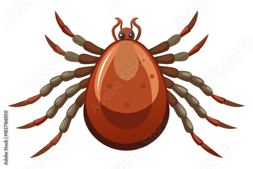 High-quality illustration of a tick insect with realistic detail and color. This vector graphic shows the tick’s body structure, legs, and texture, perfect for educational, scientific, and medical pur