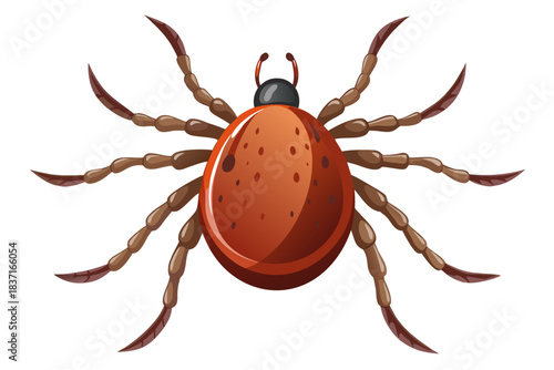 High-quality illustration of a tick insect with realistic detail and color. This vector graphic shows the tick’s body structure, legs, and texture, perfect for educational, scientific, and medical pur