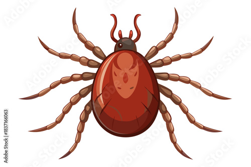 High-quality illustration of a tick insect with realistic detail and color. This vector graphic shows the tick’s body structure, legs, and texture, perfect for educational, scientific, and medical pur