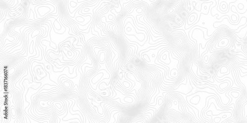 White topography topology vector white background fresh contour map texture. white seamless pattern Abstract background with a wave Topography and geography map grid abstract backdrop.