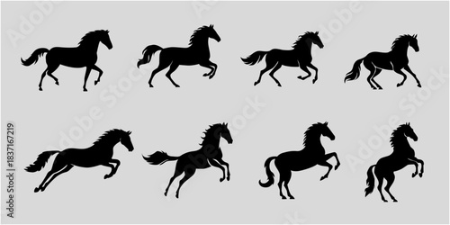 Set of Horse silhouette. Set of animal icon. Vector illustration.