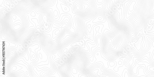 White topography topology vector white background fresh contour map texture. white seamless pattern Abstract background with a wave Topography and geography map grid abstract backdrop.