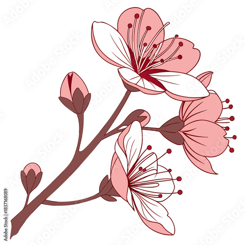everlasting flower pink with leaves