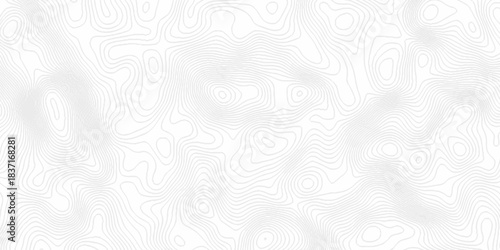 White topography topology vector white background fresh contour map texture. white seamless pattern Abstract background with a wave Topography and geography map grid abstract backdrop.