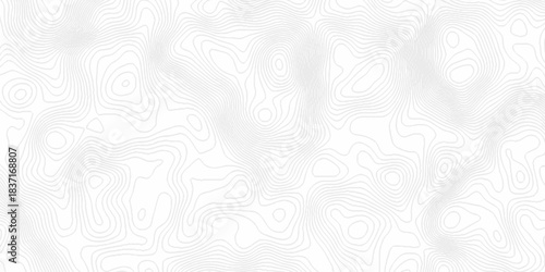 White topography topology vector white background fresh contour map texture. white seamless pattern Abstract background with a wave Topography and geography map grid abstract backdrop.