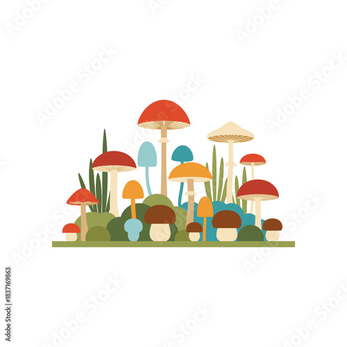 A vibrant collection of diverse mushrooms in a forest setting.