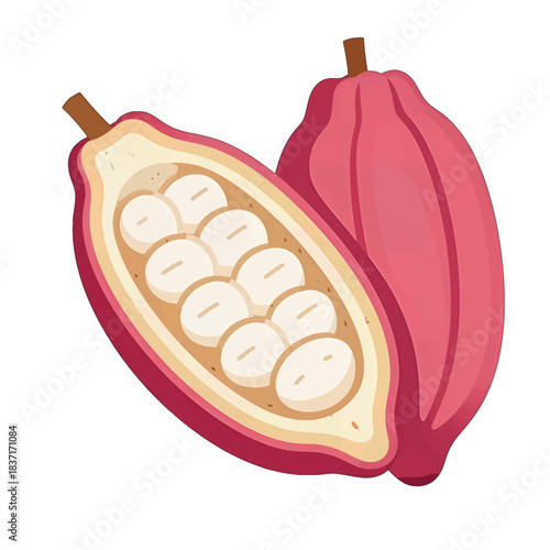 Cocoa Pod Illustration with Beans in Flat Design Style