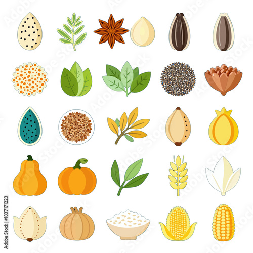 Colorful Autumn Harvest Icon Set Vector Illustration