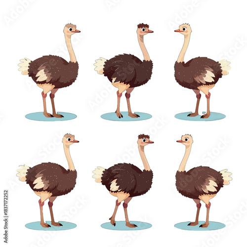 Cute Ostrich Character Illustration Set in Flat Design