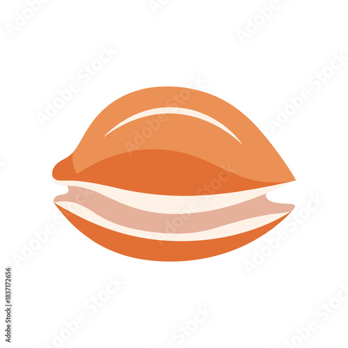 Stylized illustration of a clam shell open with layers inside.