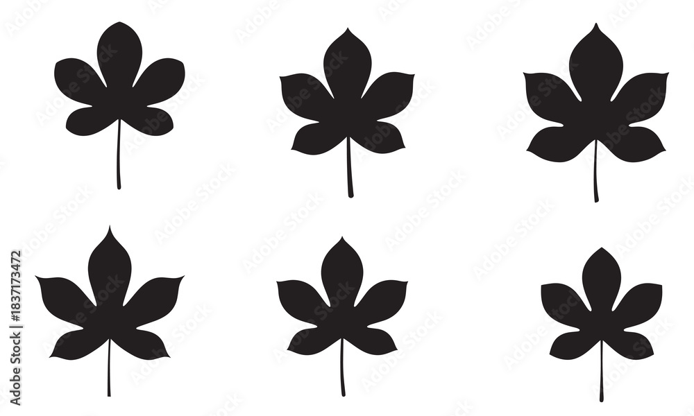 Obraz premium Six black horse chestnut leaf silhouettes isolated on white background
