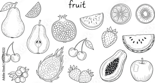 Black and white fruit vector illustration, assorted tropical and common fruits, educational line art for coloring pages