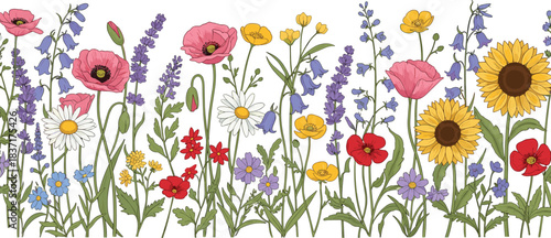 Beautiful illustration of colorful wildflowers including poppies, daisies, sunflowers, lavender, and bellflowers blooming together in a vibrant garden meadow.