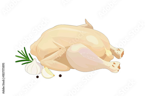 Raw Chicken with Garlic and Herbs Illustration