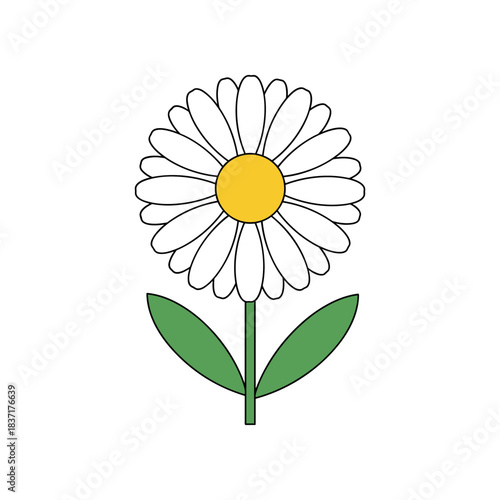Simple Daisy Flower Illustration with Green Stem and Leaves.