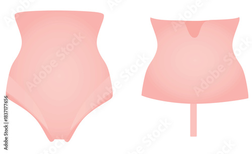 High waist panties. vector illustration	
