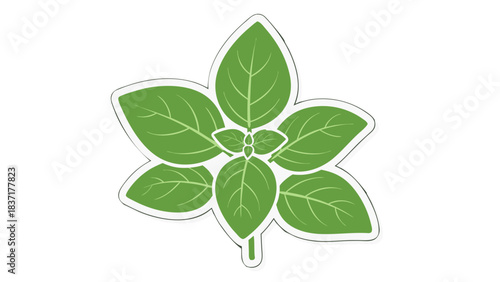 Stylized Green Basil Leaf Illustration on Black Background Simple Botanical Graphic Element with White Outline Fresh Herb Culinary Ingredient