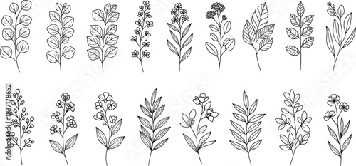 Elegant hand-drawn botanical line art vector illustration collection of delicate floral branches, leaves, and herbs, ideal for wedding invitations, cosmetic packaging, , 