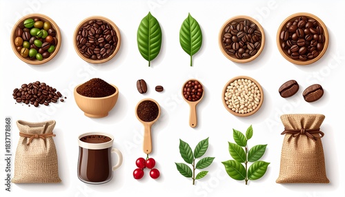 Coffee Beans and Roast Variations Icon Set Illustration