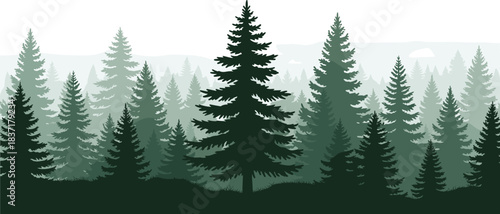 Layered coniferous forest landscape with green pine trees and atmospheric depth, perfect for nature, ecology, or outdoor vector illustration content