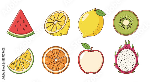 Set of various fresh fruits, handdrawn style
