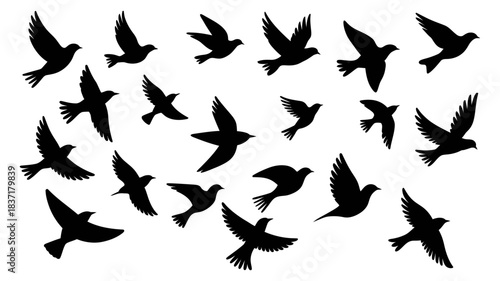 A flock of silhouetted birds takes flight against a clear sky, symbolizing freedom, migration, and new beginnings. the dynamic composition captures movement.