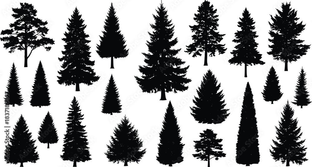 Fototapeta premium Silhouetted coniferous tree collection in varied shapes and sizes, ideal for botanical or landscape-themed vector illustration