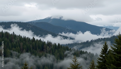 Misty Mountain Landscape Surrounded by Fog and Dense Forest Near Tranquil Wilderness Area