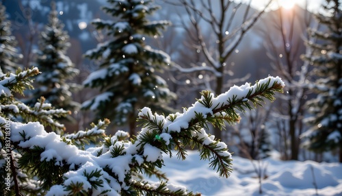 Snowy Branches Glimmering in Soft Morning Light in a Serene Winter Landscape