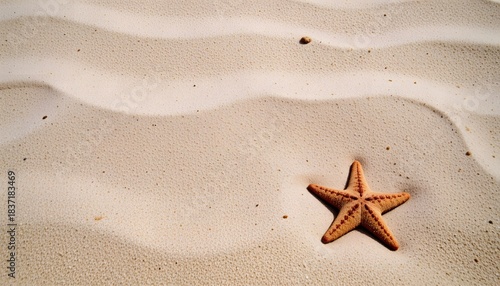 Starfish Resting on Fine Sand with Soft Waves in a Tranquil Beach Setting