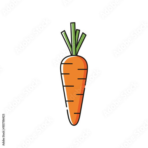 A Vibrant Orange Carrot with Green Stems Isolated on White Background.