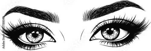Black and white eye illustration, detailed eyelashes, dramatic eyebrows, iris texture, expressive gaze, portrait art, vector drawing, emotional focus, 