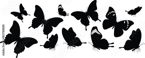 Butterfly silhouette vector set, wing shape collection, insect illustration, black icons, nature design, flying butterflies, decorative elements, artistic pattern