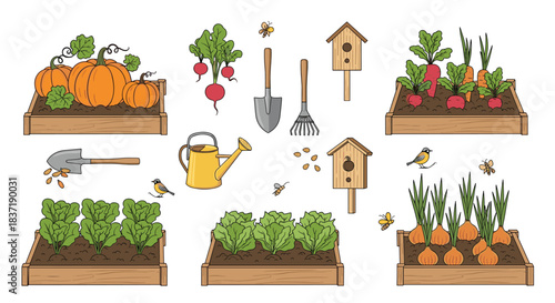 Set of charming garden illustrations with vegetables growing in raised beds, gardening tools, a birdhouse, and birds and bees.
