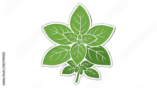 Vibrant Green Basil Leaves with Detailed Veins Isolated on a Clean Black Background Ideal for Culinary and Design Projects