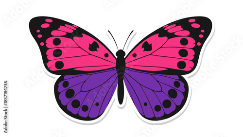 Vibrant Pink and Purple Butterfly with Black Spots Isolated on a Black Background Detailed Insect Illustration with Symmetrical Wing Patterns and White Outline