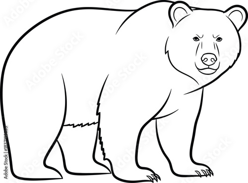 Simple line drawing of a standing brown bear facing forward