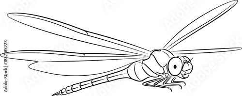 Detailed line drawing of a dragonfly in flight on a white background