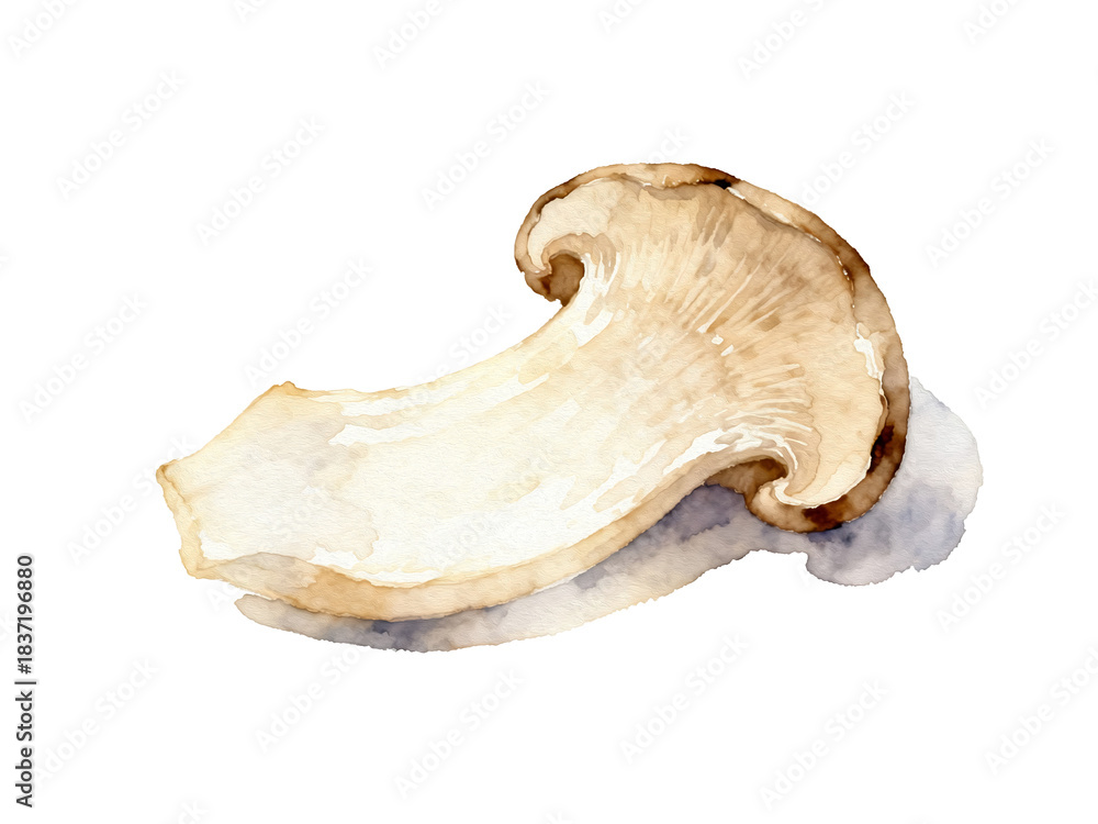 Fototapeta premium Exquisite Mushroom: A singular mushroom, rendered in a delicate watercolor, showcases its elegant form and earthy tones. It conveys a sense of culinary artistry and natural elegance.