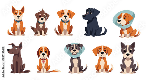 Collection of ten sad and sick cartoon puppy characters, including some wearing Elizabethan collars after a visit to the vet.