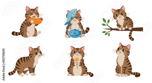 Adorable set of a cute brown tabby cat character in six different fun poses, such as eating a hot dog, sitting on a branch, and holding a fishbowl.